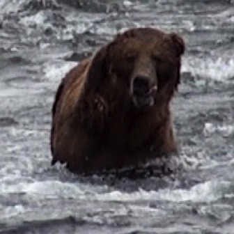 Screen Shot 2016-07-08 at 8.38.40 PM.jpg